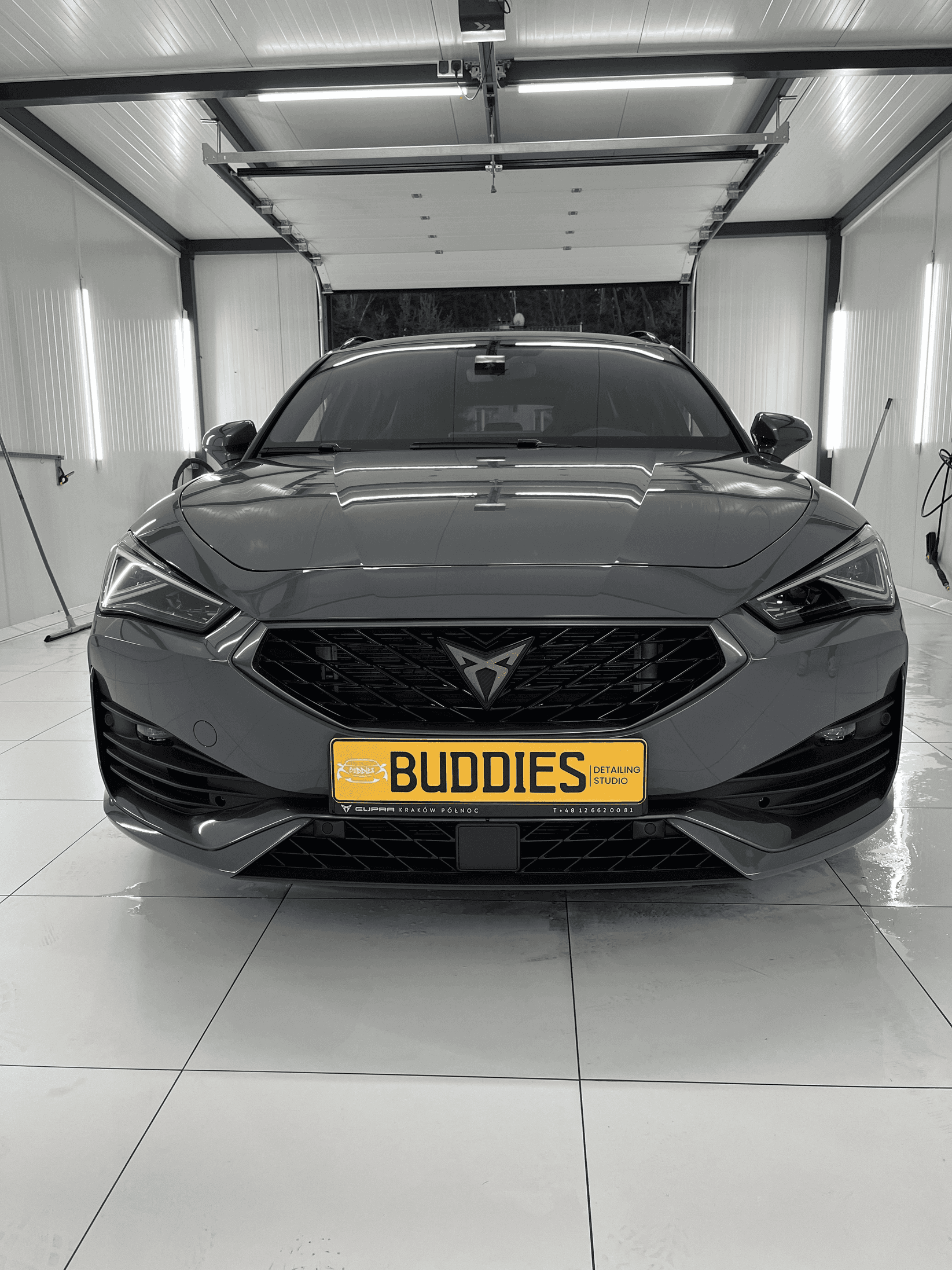 Cupra Detailing